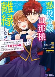 悪役令嬢は旦那様と離縁がしたい！～好き勝手やっていたのに何故か『王太子妃の鑑』なんて呼ばれているのですが～（コミック） 第01-04巻 [Akuyaku reijo wa dannasama to rien ga shitai Sukikatte yatte ita noni nazeka otaishihi no kagami nante yobarete irunodesuga vol 01-04]