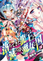 [Novel] 落ちてきた龍王と滅びゆく魔女の国 raw 第01-12巻 [Ochitekita Naga to Horobiyuku Majo no Kuni vol 01-12]