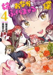 姉のおなかをふくらませるのは僕 raw 第01-04巻 [Ane no Onaka o Fukuramaseru wa Boku vol 01-04]