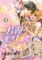 片翼のラビリンス raw 第01-10巻 [Katayoku no Rabirinsu vol 01-10]