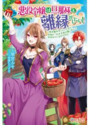 [Novel] 悪役令嬢は旦那様と離縁がしたい！ ～好き勝手やっていたのに何故か『王太子妃の鑑』なんて呼ばれているのですが～ [Akuyaku Reijo wa Dannasama to Rien ga Shitai Sukikatte Yatte ita Noni Nazeka Otaishihi no Kagami Nante Yobarete Irunodesuga]