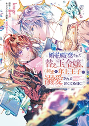 婚約破棄された替え玉令嬢、初恋の年上王子に溺愛される@COMIC raw 第01-02巻 [Konyaku Haki Sareta Kaedama Reijo Hatsukoi No Toshiue Oji Ni Dekiai Sareru @COMIC vol 01-02]