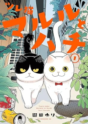 ツレ猫 マルルとハチ raw 第01巻 [Tsureneko Maruru to Hachi vol 01]