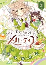 ふしぎな猫のまち メルティア raw 第01-03巻 [Fushigina Neko No machi Meruteia vol 01-03]