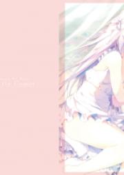 [Artbook] しらたま画集 リトルコメット