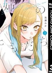 姉のともだち raw 第01-03巻 [Ane no Tomodachi vol 01-03]