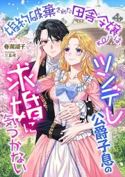 [Novel] 婚約破棄された田舎令嬢は、ツンデレ公爵子息の求婚に気づかない