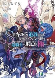 [Novel] Ｓ級ギルドを追放されたけど、実は俺だけドラゴンの言葉がわかるので、気付いたときには竜騎士の頂点を極めてました。raw 第01-03巻 [Esukyu girudo o tsuiho sareta kedo jitsu wa ore dake doragon no kotoba ga wakaru node kizuita toki niwa ryukishi no choten o kiwametemashita vol 01-03]