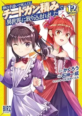 神の手違いで死んだらチートガン積みで異世界に放り込まれました