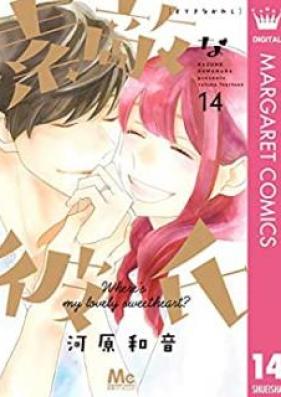 素敵な彼氏 第01-14巻 [Suteki na Kareshi vol 01-14]