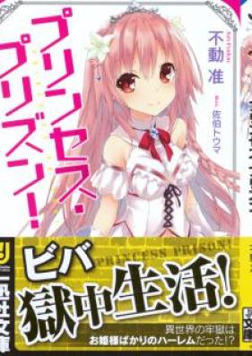 [Novel] プリンセス・プリズン! [Princess Pre-zun!]